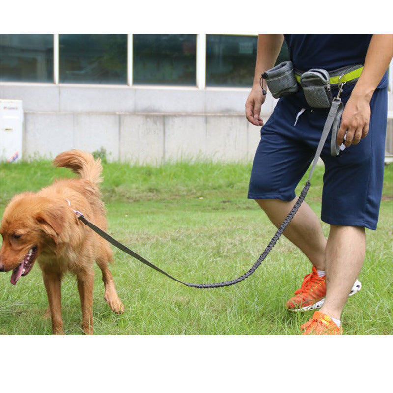 Hands Free Dog Leash